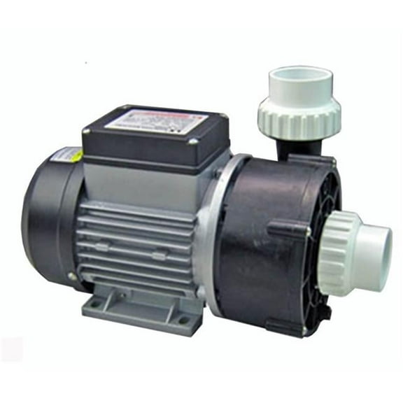 Lingxiao Pump WTC50M-USA 230V Circulation Pump Assembly