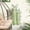 C, variant on Seyotauo Green Tropical Jungle Leaves Wall Decals Palm Tree Leaf Vegetations Wall Stickers DIY Peel and Stick Removable Monstera murals Leaf Window Stickers for Bedroom Nursery Living Room Decoration