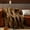 Brown, variant on Cozylore Luxury Faux Fur Throw Blanket for Bed Super Thick Warm Long Fluff Fuzzy Blankets for Bedroom Living Room, 90" x 90", Brown