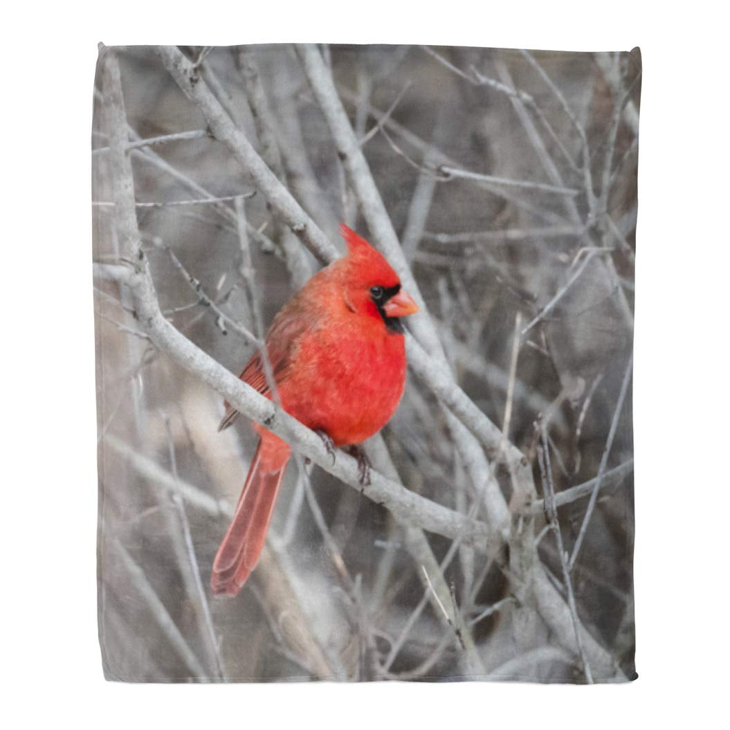 Red Cardinal Bird It is A Visitor from Heaven Premium Quality Sherpa Fleece Throw Blanket 3D Printed Warm Fluffy Cozy Soft Tv Bed Couch Comfy Microfiber Velvet Plush