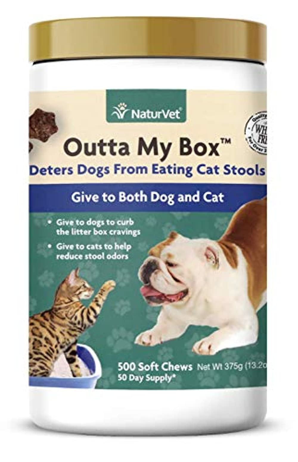 can-dogs-die-from-eating-cat-poop