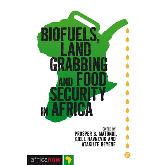 Biofuels, Land Grabbing and Food Security in Africa (Paperback)