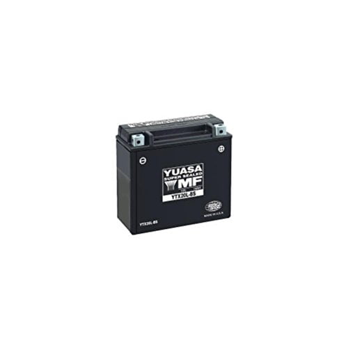 Yuasa YUAM624B4 YT14B-BS Maintenance Free AGM Battery with Acid pack