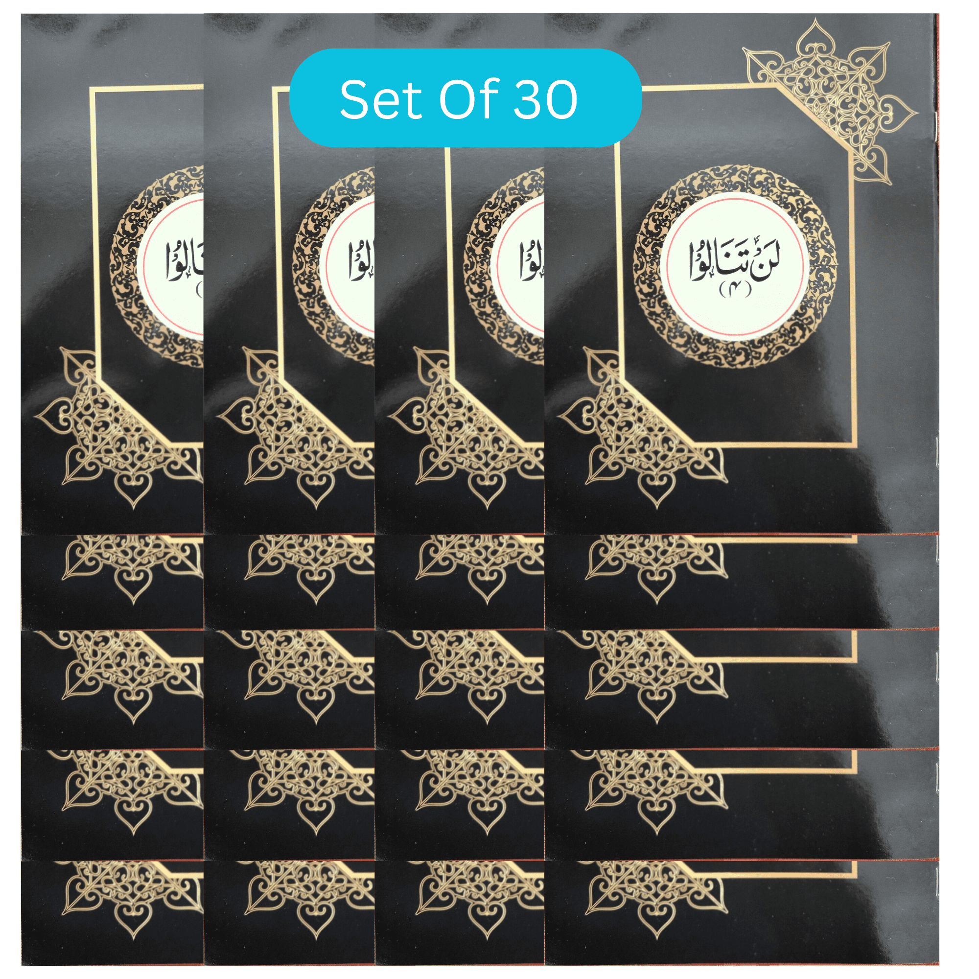 30 Para Set of the Holy Quran – Large Bold Script (9 Lines Per Page) | 30 Separate Sections Great Gift for Ramadan, Friends, and Family Ramadan Gift Eid gifts