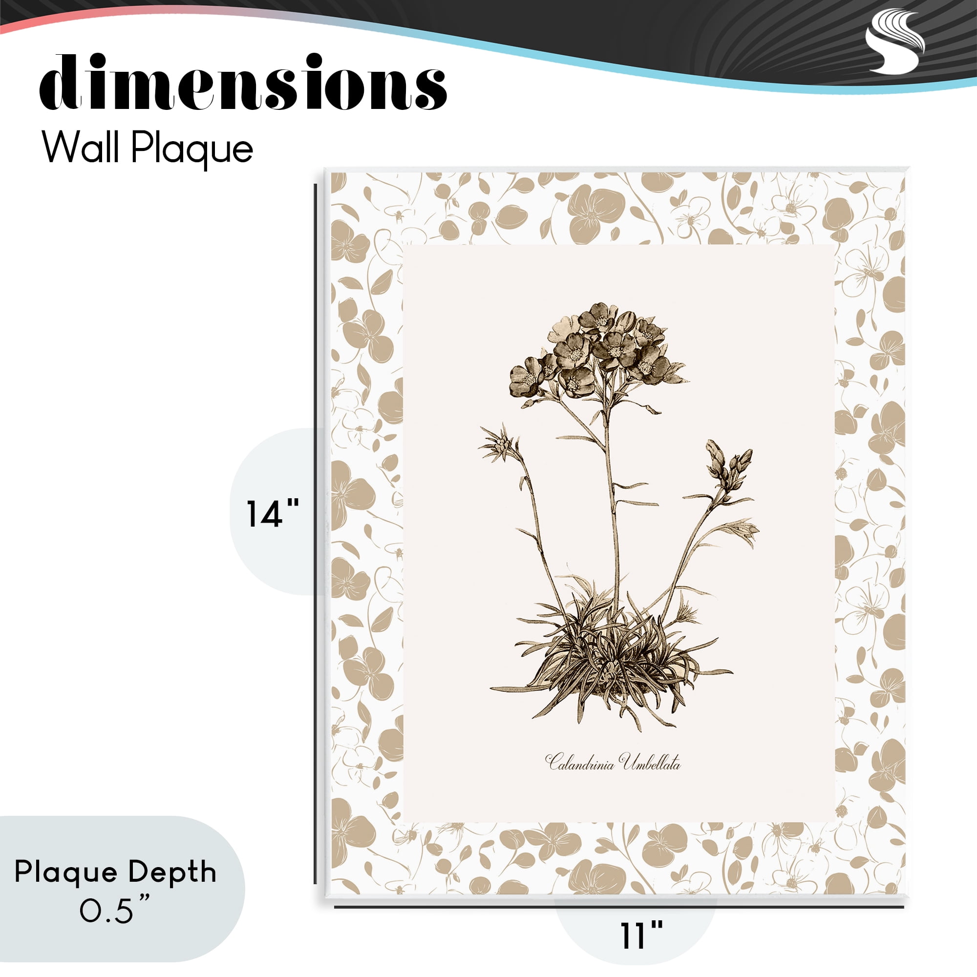 Stupell Industries Neutral Imperial Flower & Herb Wall Plaque Art, design by Kelly Donovan