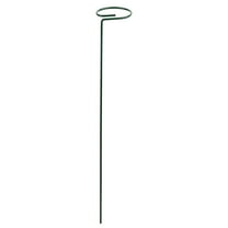 XUFLVPSEF 5 Pack 8 Inch Amaryllis Stakes, Sturdy Metal Floral Flower Support Garden Single Stem Plant Stakes for Amaryllis Orchid Tomatoes Lily Rose Peony, Dark Green