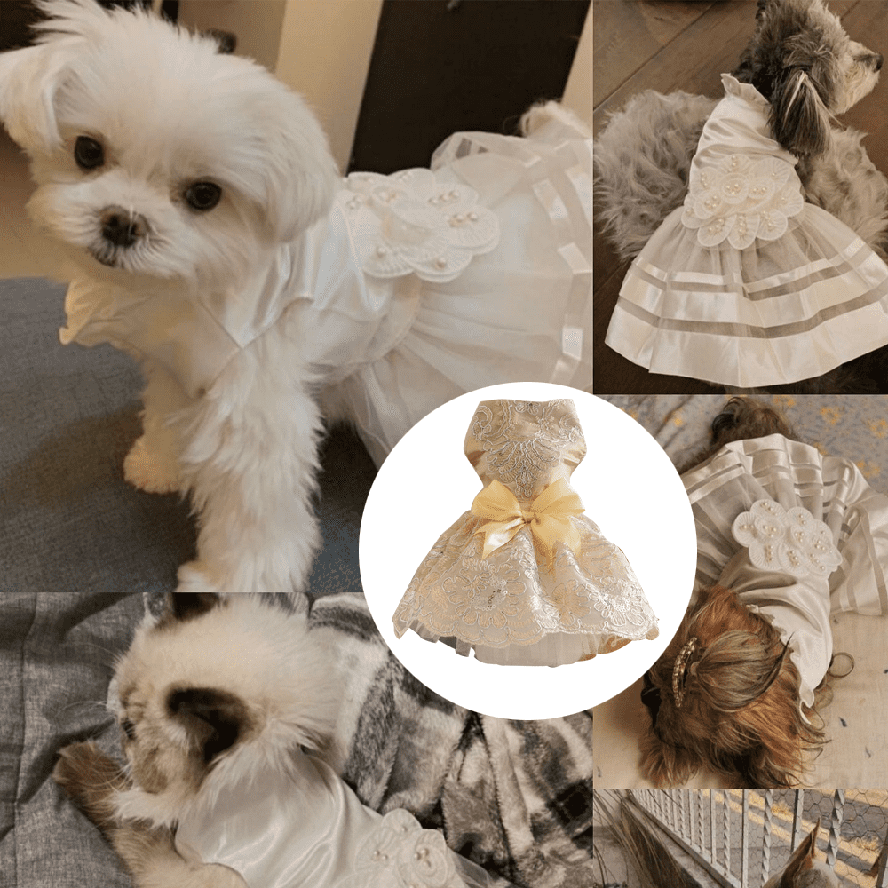 SELMAI Bunny Tutu Dress For Small Dogs & Cats – Bling Shirt With Tulle Skirt, Easter Costume | For Yorkie, Chihuahua