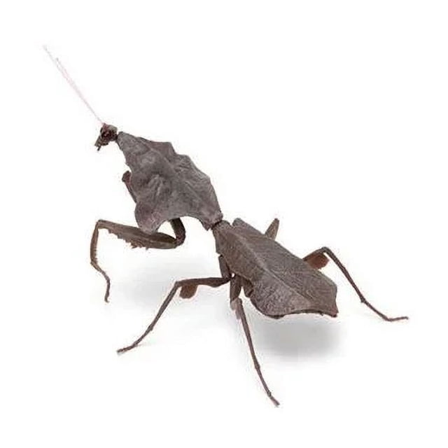 Insects Gashapon Big Picture Book Series Mantis Spider Scorpion Wasp Simulation Insect Action Figure Model Toys
