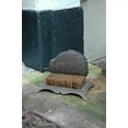 thumbnail image 2 of Esschert Design Hedgehog Boot Brush – Cast Iron Outdoor Shoe & Boot Scraper with Coconut Fiber Bristles, 2 of 4