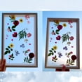 thumbnail image 6 of Pressed Flowers Frames, 8x12'' Acrylic Floating Dried Flower Picture Frame DIY Double Glass Photo Artwork Display Frame for Tabletop Wall Decorations Gifts, 6 of 8