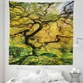 thumbnail image 1 of Tree Tapestry, Shadows of Large Maple Along with River with Sun Rays Fall Season Nature Theme, Fabric Wall Hanging Decor for Bedroom Living Room Dorm, 5 Sizes, Green Yellow, by Ambesonne, 1 of 1
