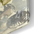 thumbnail image 3 of Epic Art 'Amazonia 3' by Jadei Graphics, Acrylic Glass Wall Art, 24"x24", 3 of 8