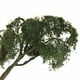 thumbnail image 5 of Maqueta de Arce de árbol 12cm 1:75 OO, 5 of 7
