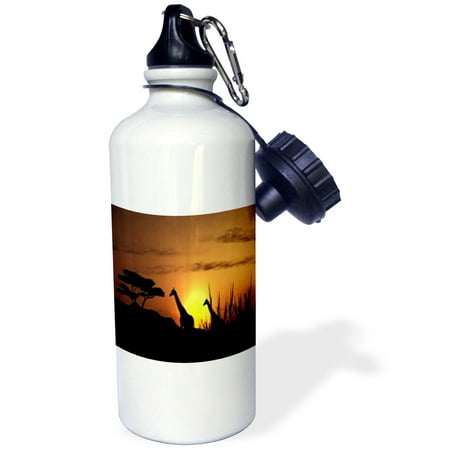 

3dRose Pair Of Giraffes In The African Sunset.jpg Sports Water Bottle 21oz