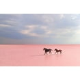 thumbnail image 2 of Uzumcu, Suleyman 18x13 Black Ornate Wood Framed with Double Matting Museum Art Print Titled - Pink Salt Lake, 2 of 4
