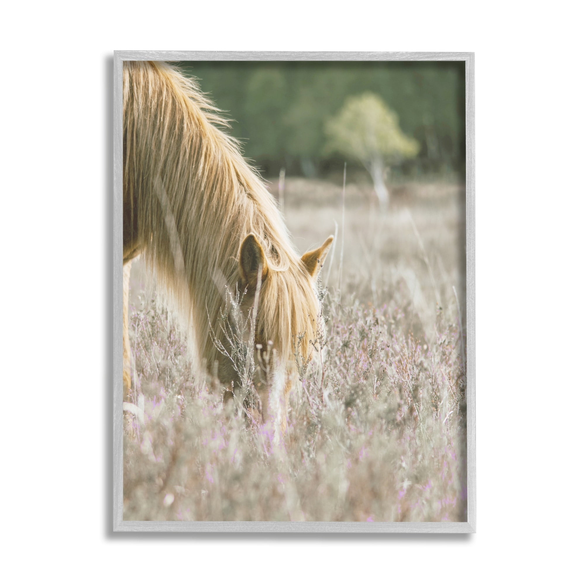 Stupell Industries Peaceful Palomino Horse Grazing Countryside Meadow Photography Gray Framed Art Print Wall Art, 11x14, by Leah Straatsma