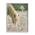 thumbnail image 3 of Stupell Industries Peaceful Palomino Horse Grazing Countryside Meadow , 16 x 20, Design by Leah Straatsma, 3 of 5
