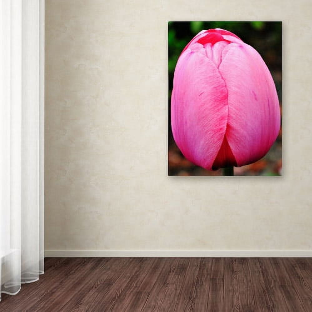 Trademark Fine Art "Perfect Pink Tulip" Canvas Wall Art by Kurt Shaffer