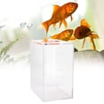 thumbnail image 3 of AMONIDA Aquarium Acrylic Liquid Storage Bucket Transparent Dosing Pump Barrel Titration Tank With Scale, 3 of 8