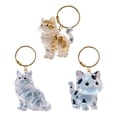 thumbnail image 4 of NEW Kitten-Shaped Pet Hair Storage Pendant Portable Kitten Hair Collector For Bag Pet Collector Hair Memorial Car Memorial, 4 of 6