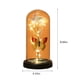 thumbnail image 3 of Rosa Colorida de Regalo, Cúpula de Cristal Iluminada Por Led, Flor Romántica Eterna, Regalo de San Valentín, Regalo de Cumpleaños o Aniversario, Elegante Decoración Del Hogar, Tamaño 22 X 11 Cm, 3 of 7