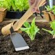 thumbnail image 5 of Azada de jardín | Herramienta de Deshierbe y Excavación de Doble Propósito | Cabeza triangular de acero inoxidable | Diseño compacto para plantación de hortalizas y flores | Implemento agrícola, 5 of 5