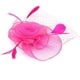 thumbnail image 1 of Accesorio para el cabello con plumas para bodas Tocado de velo de jaula de pájaros de color rojo rosa para novia, 1 of 6