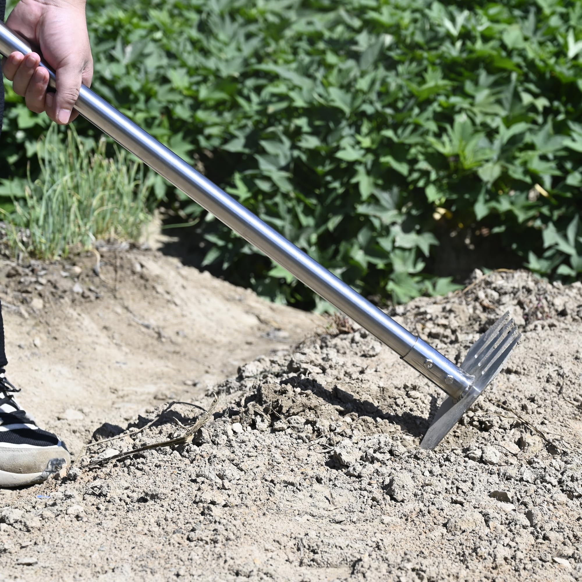 Garden Hoe Tool And Weeder  56 Inch Long Handle Cultivator With Stainless Steel Heavy Duty Hand Tiller For Weeding Digging Loosening Soil Removing Moss