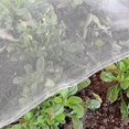 thumbnail image 1 of 3x6m Fine Mesh White Vegetable Anti-Insect Net for Leeks, Fruit Trees, and Garden Plants Protection, 1 of 5