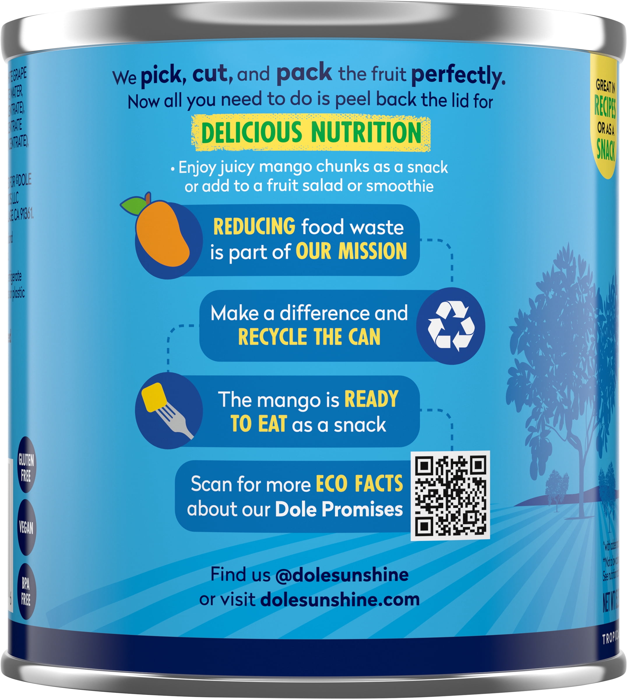 (2 pack) Dole Mango Chunks in a Blend of 100% Juice*, 15.5 oz