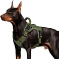 thumbnail image 1 of Chaleco táctico para perros WINGOIN verde para perros medianos, 1 of 5