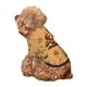 thumbnail image 5 of Fotbe Brown Mushrooms Sudadera con Estampado para Perros Pequeños – Suéter con Capucha para Mascotas, Tela Suave de Forro Polar con Bolsillo-Medium, 5 of 7