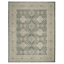 SAFAVIEH Sofia Raschelle Border Area Rug, Light Grey/Beige, 9' x 12'