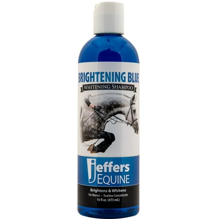 Jeffers Equine Brightening Blue Whitening Horse Shampoo, 16oz – Soap Free, Detergent Free Grooming Shampoo for Coat, Mane & Tail, Removes Tough Stains, Enhances Shine, Safe for White & Light Coats