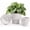 Spot, variant on Ceramic Planter Pot Set of 3, 4/5/6 Inch Indoor Decorative Cachepot for Pothos & , No Drainage Hole, Modern Tabletop Desk Display Pot for Decor, Pockmarks White