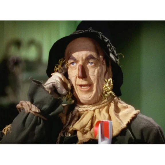 Full Round Drills The Wizard of Oz Scarecrow Diamond Painting Kit DIY Cross Stitch Rhinestone Mosaic Home Decoration Gift