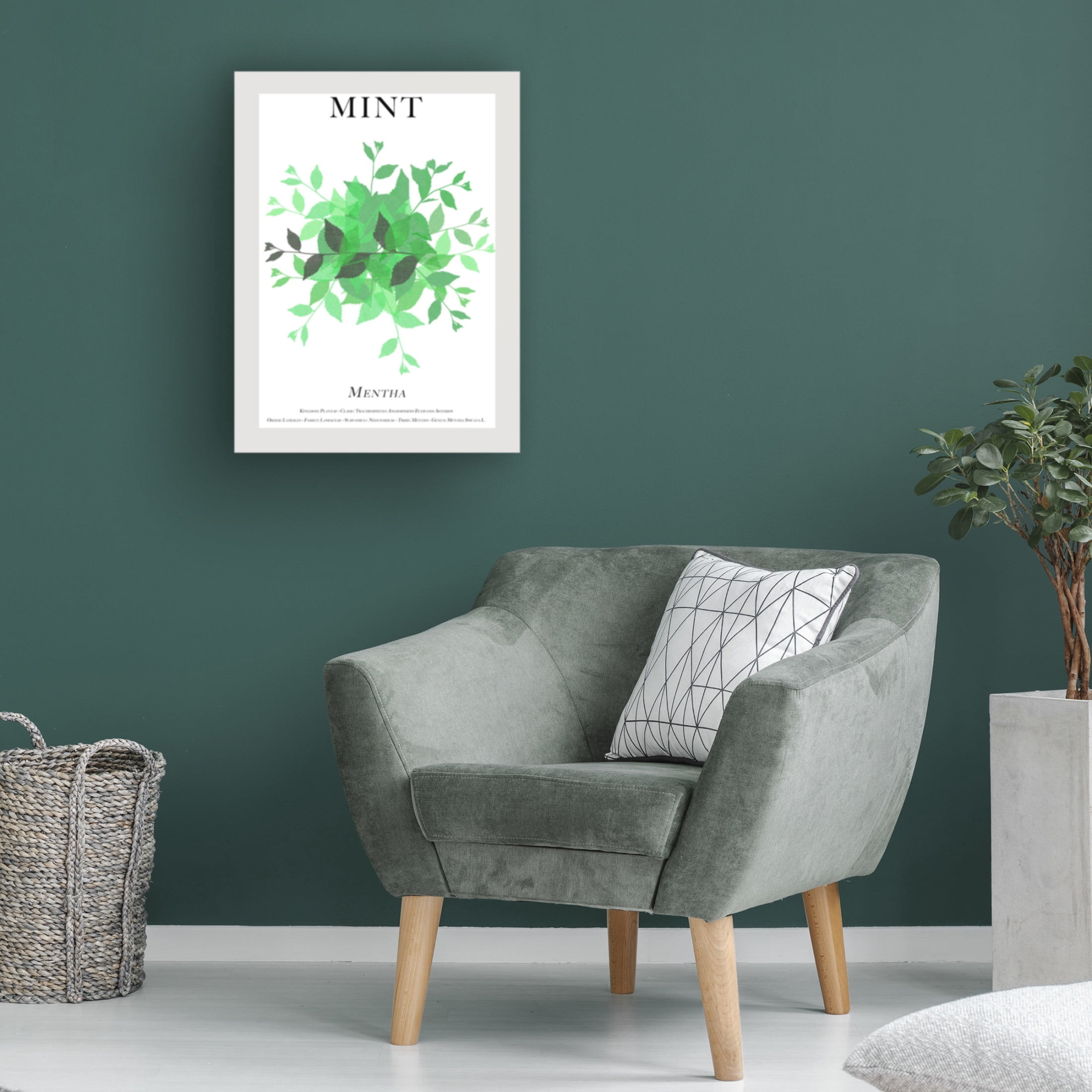 Trademark Fine Art Cartissi Mint Canvas Wall Art