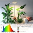 thumbnail image 4 of Grow Lights for Indoor Plants Full Spectrum Plant Lights for Indoor Growing with withTimer Color Modes Brightness Height Adjustable Wood Grain Plant Growing Lamp, 4 of 7