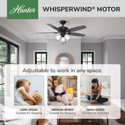 Hunter 52 inch Indoor Ceiling Fan with LED Lights - Black Ceiling Fan with Pull Chain, For Bedroom or Living Room, Standard Mount, No Remote, 5 Blades, Includes Bulbs- Builder Plus 52387, Matte Black