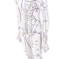 thumbnail image 4 of 52cm Human Body Acupuncture Model, Male/Female Chinese Teaching Acupoint Mannequin Pressure Point Acupuncture Model with Base, for Student Teaching Demonstration (Female), 4 of 9