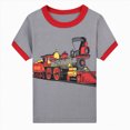 thumbnail image 4 of NOLDARES Baby Boy Outfits 2 Pieces Crewneck Short Sleeve Tee Shirt Little Raccoon Pattern Elastic Waist Shorts Animal Print Clothes(Grey,9-10 Y), 4 of 9