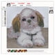 thumbnail image 5 of 5D DIY diamante pintura perro Cruz puntada bordado pared arte costura Kit FLhrweasw Nuevo, 5 of 9
