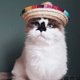 thumbnail image 2 of Multicolor Perro Gato Mexicano Sombrero de Paja Mascota Ajustable Hebilla Disfraz, 2 of 7