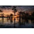thumbnail image 2 of Jones, Adam 18x13 Black Ornate Wood Framed with Double Matting Museum Art Print Titled - Bald cypress trees silhouetted at sunset Caddo Lake-Uncertain-Texas, 2 of 4