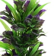 thumbnail image 4 of Planta Decorativa Decoración Acuario Terrario Plástico Tanque Hábitat para Los Reptiles Verde Púrpura 11 x 8 x 20 cm/4.33x 3.15x 7.87, 4 of 4