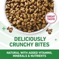 thumbnail image 4 of Purina ONE Plus Indoor Advantage Salmon Flavor Dry Cat Food, 3.5 lb., 4 of 14
