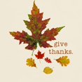 thumbnail image 3 of CafePress - Pretty Thanksgiving Dark T Shirt - Men's Classic Graphic T-Shirt, 3 of 4