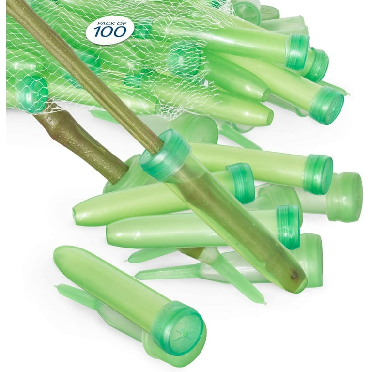 Pack Of 50 Plastic Flower Tubes Transparent Water Tube For Flowers,  Reusable Flowers, Water Tubes - AliExpress