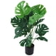 thumbnail image 4 of Planta artificial en maceta alta simulación decorativa de la planta artificial de Monstera de los 80cm realista para el hogar ANGGREK Otros, 4 of 7