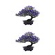 thumbnail image 4 of Advancent Plantas artificiales Bonsai Tree Faux Pine Plastic para Home Office Tabletop Garden Party Hotel Decoración Decoración Púrpura Púrpura 2piezas, 4 of 6